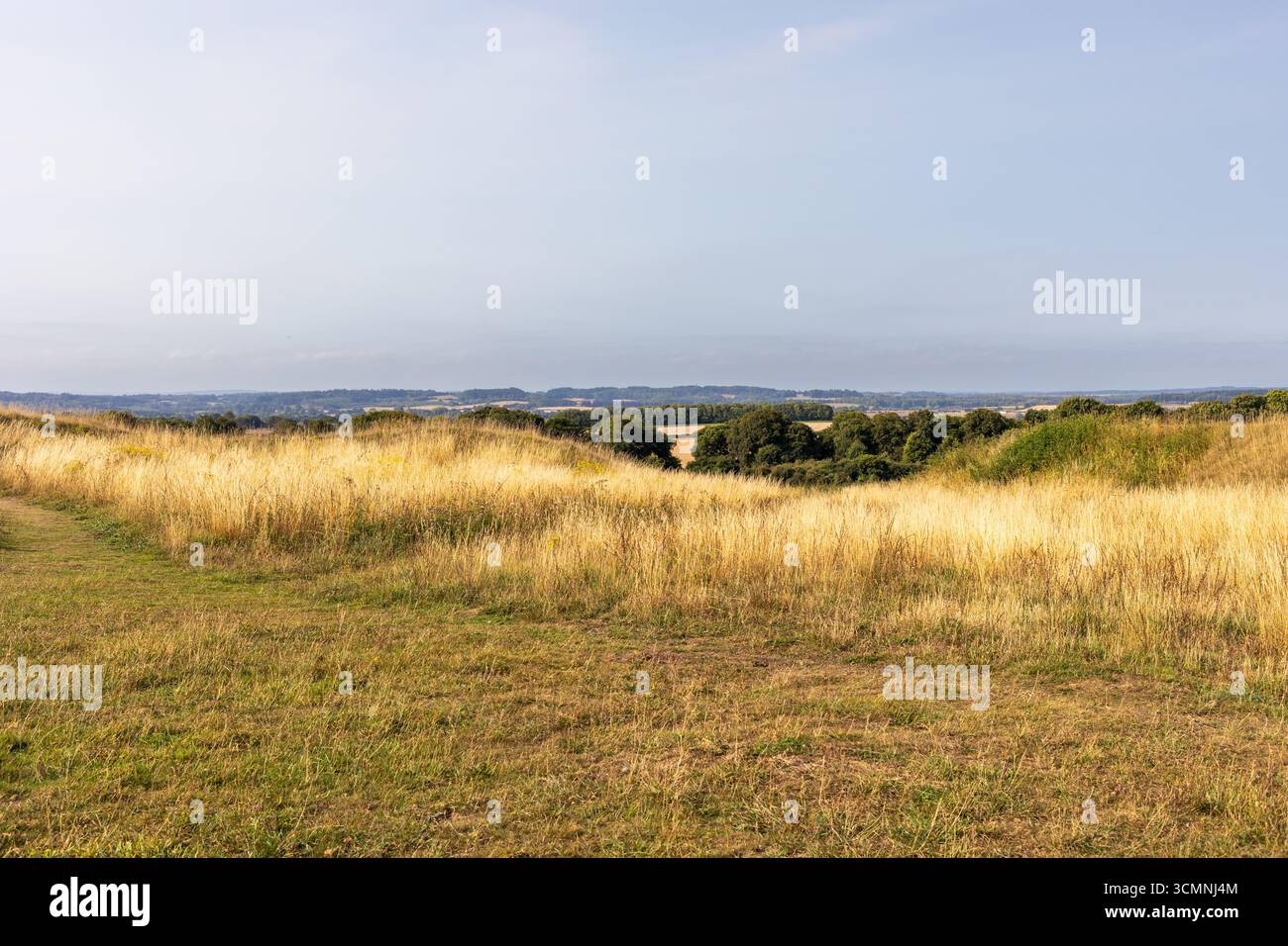 Badbury Ringe im Spätsommer. Dorset, England, Großbritannien Stockfoto