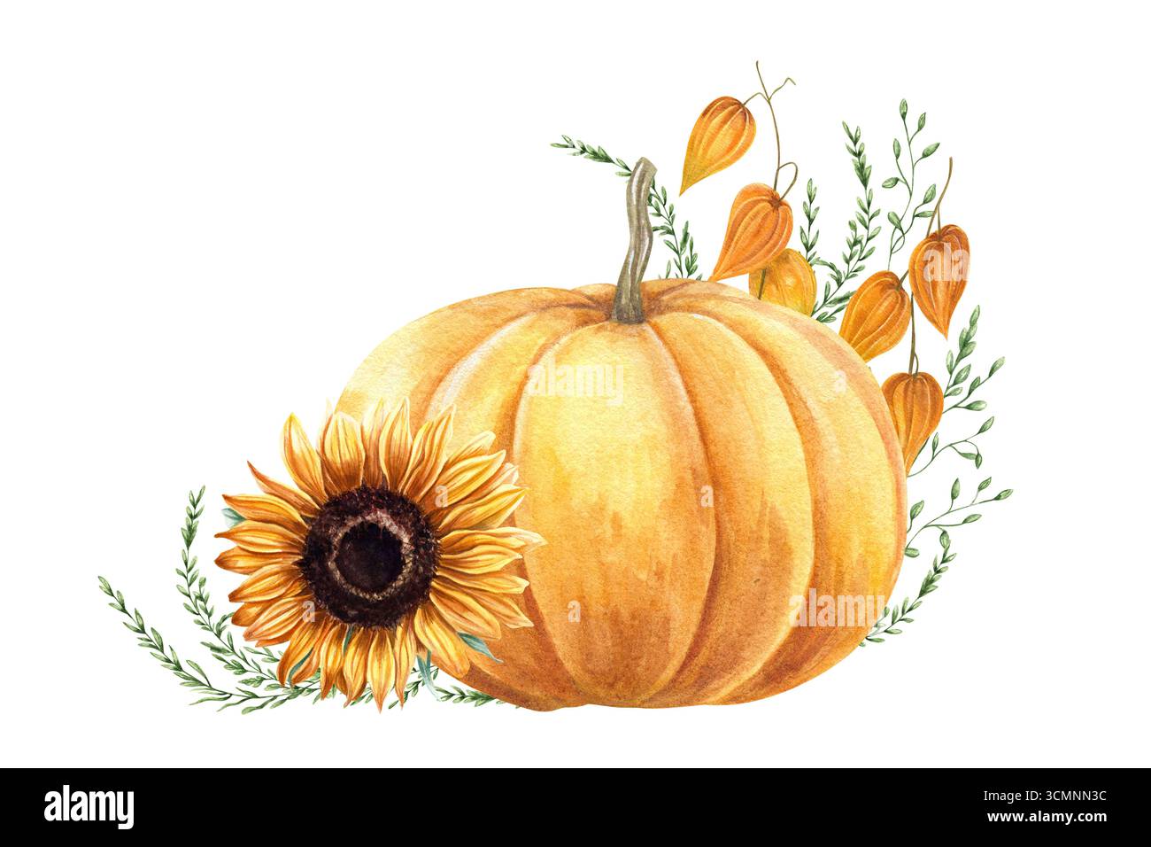 Aquarellgelb orange Kürbis, Physalis, Sonnenblume und wilde Gräser Illustration auf isoliertem Hintergrund. Herbstkomposition für saisonale Designs Stockfoto