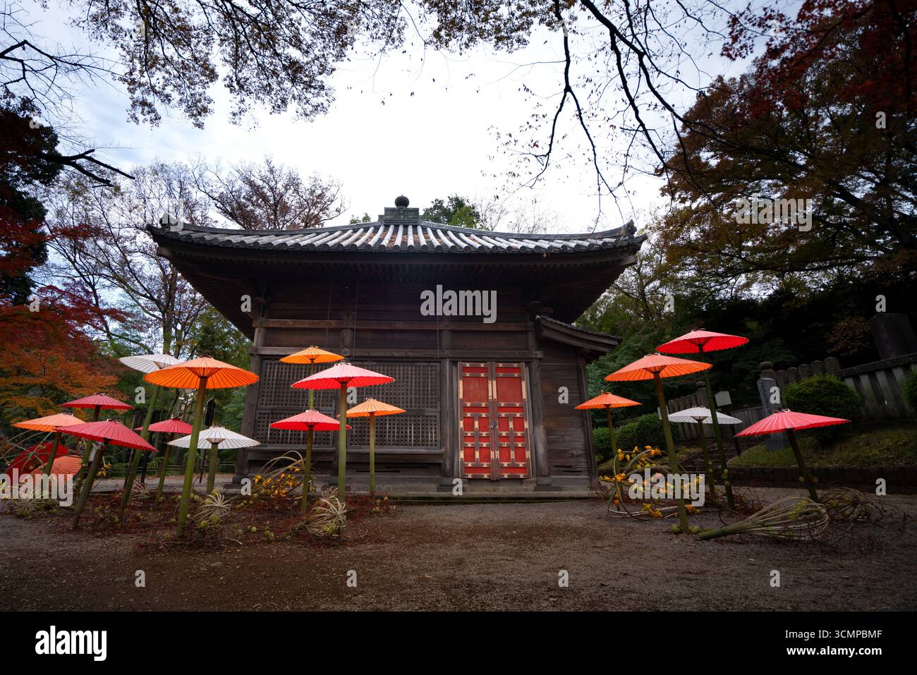 Traditioneller japanischer Holztempel mit bunten Wagasa-Regenschirmen in einem friedlichen Garten, umgeben vom Herbst Stockfoto