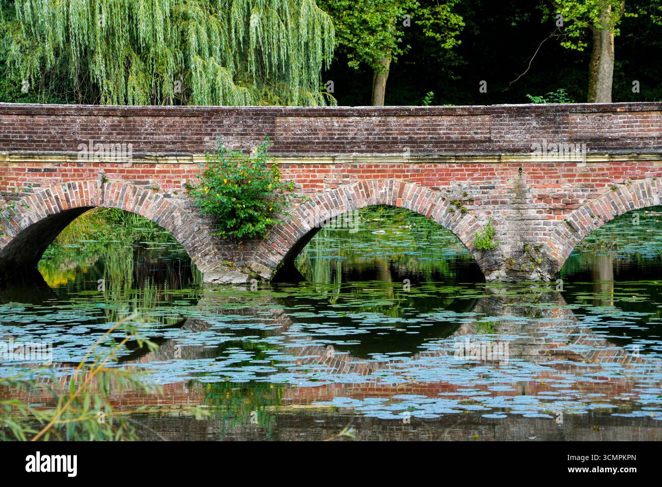 Bogenbrücke, Schloss Senden, Senden, Nordrhein-Westfalen, Deutschland, Europa Stockfoto