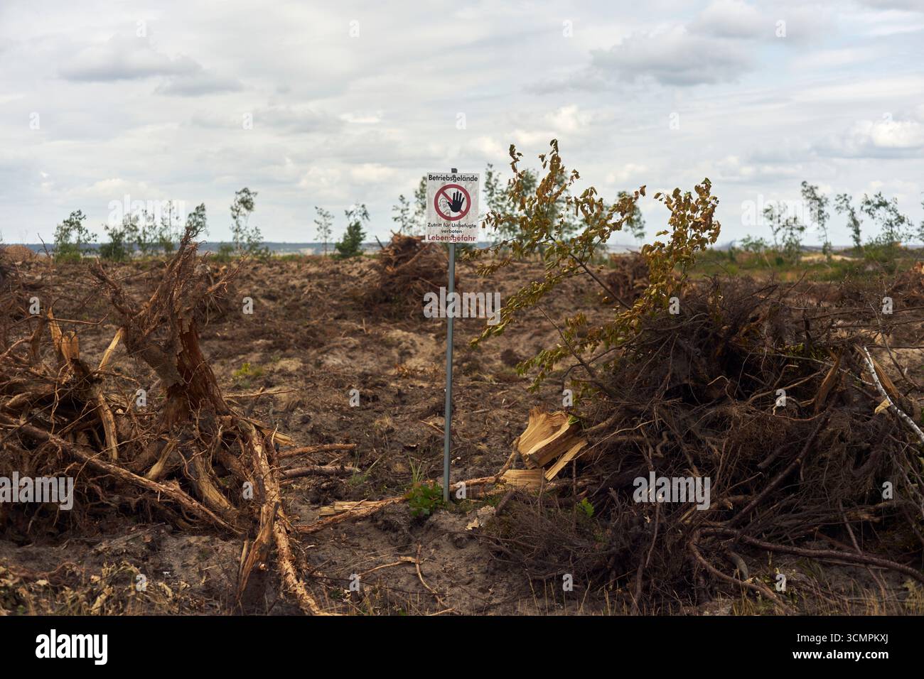 Die Landschaft wird von der Vegetation befreit, damit sie für den Braunkohlebergbau, Tagebau Nochten, Deutschland 2025, abgebaut werden kann. Stockfoto
