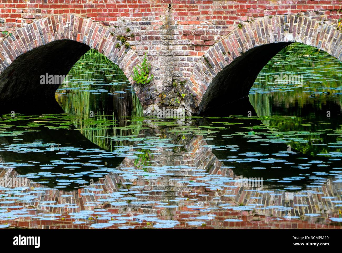Bogenbrücke, Schloss Senden, Senden, Nordrhein-Westfalen, Deutschland, Europa Stockfoto