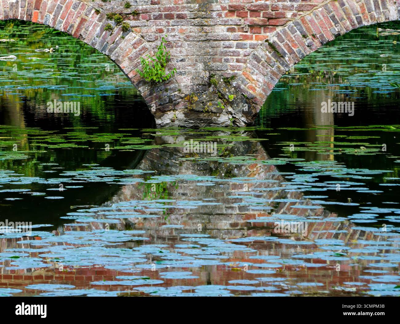 Bogenbrücke, Schloss Senden, Senden, Nordrhein-Westfalen, Deutschland, Europa Stockfoto