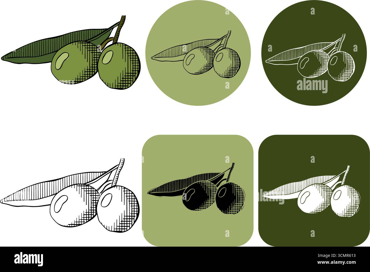 Olivenbeerenzweig mit grünem Blätterlogo. Vektorgrafik Linie farbige Illustration. Für Poster, Flyer, Banner, Einladung, soziale Medien, Teil Stock Vektor