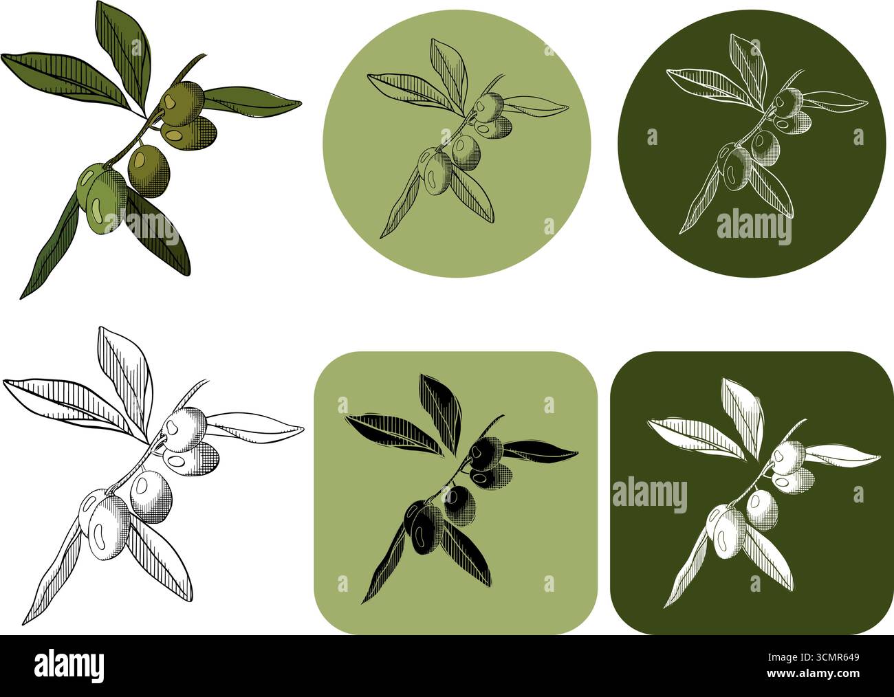 Olive auf Baumzweig Beerenzweig mit grünem Blätterlogo. Vektorgrafik Linie farbige Illustration. Banner, Poster, Geschenkpapier, Aufkleber, S. Stock Vektor