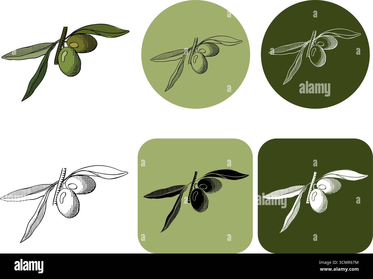 Olivenbeerenzweig mit grünem Blätterlogo. Vektorgrafik Linie farbige Illustration. Illustration für Schönheitssalon, Kosmetikgeschäft, Make-up des Stock Vektor