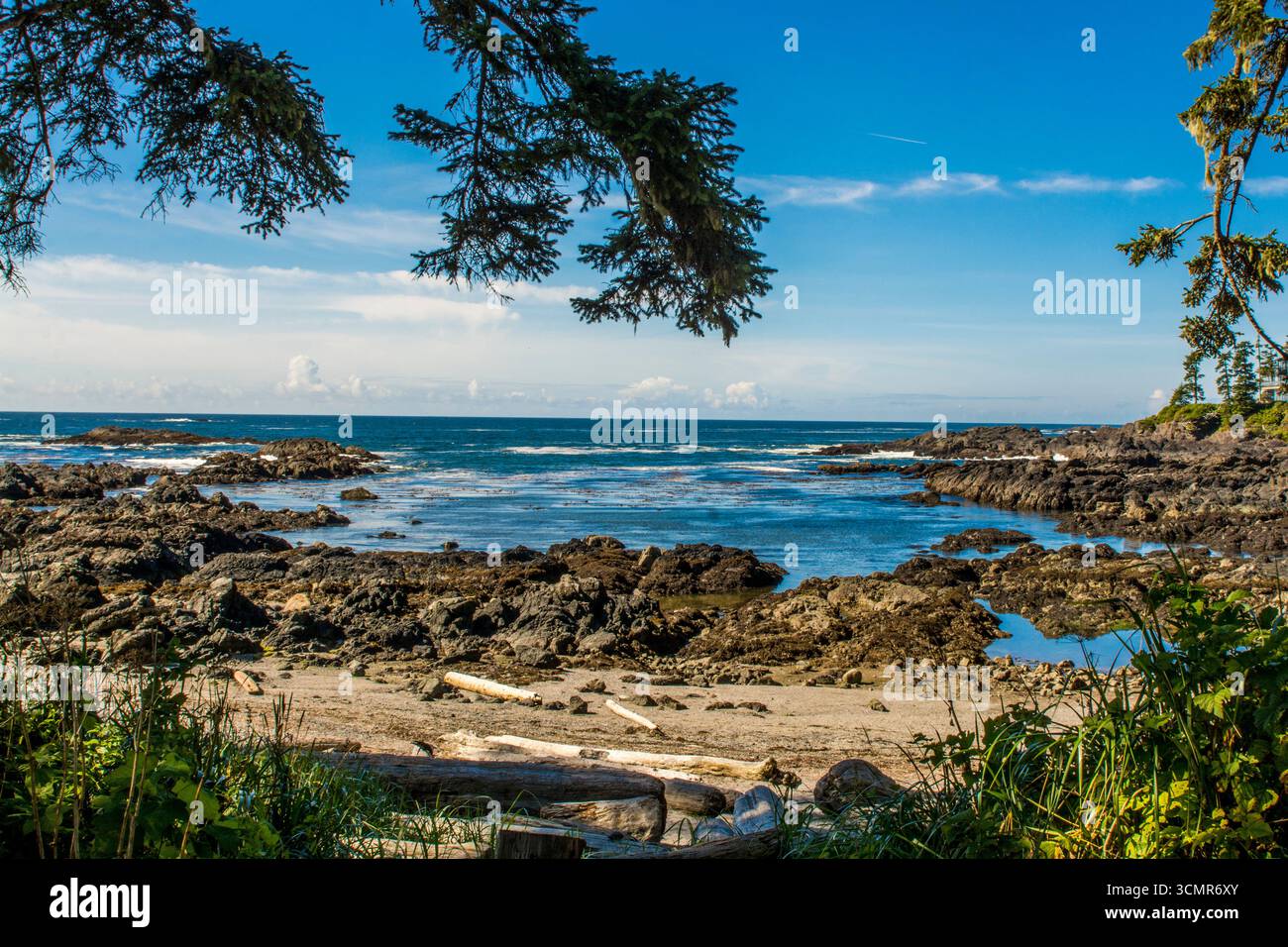 Big Beach, Ucluelet, Vancouver Island, British Columbia, Kanada Stockfoto
