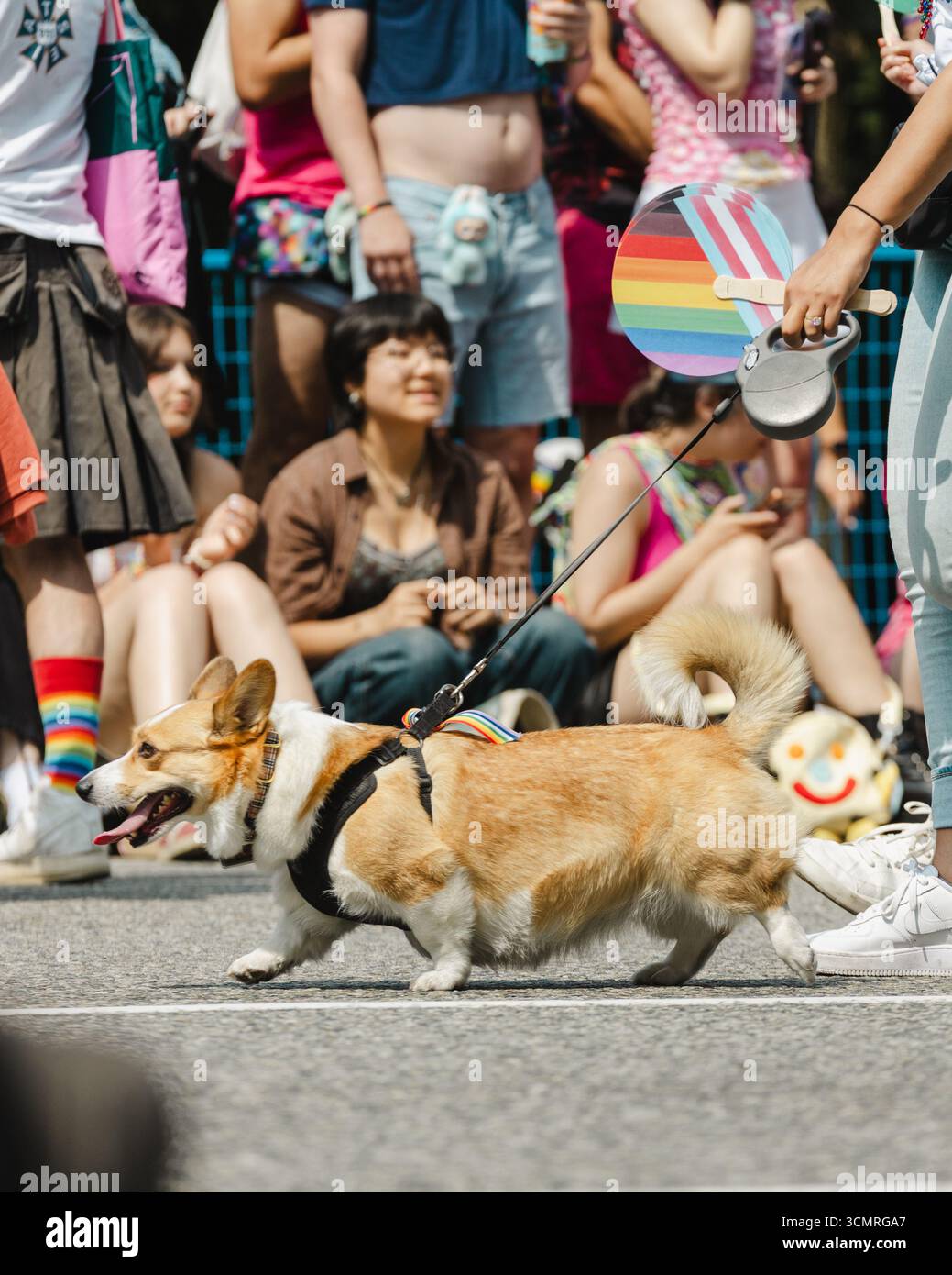Corgi fährt durch Vancouver Pride 2025 Stockfoto