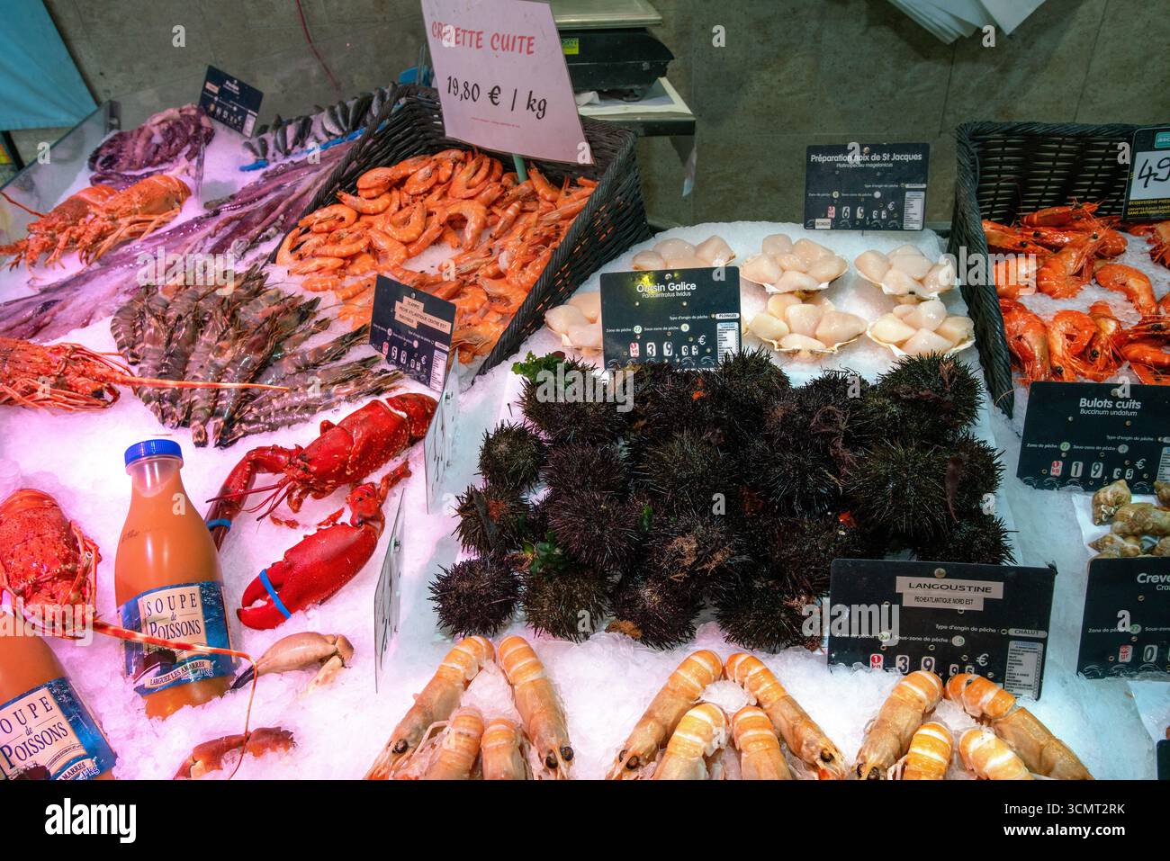 02/2022 CANNES FR FRISCHE GARNELEN, CALMARS, NORWEGISCHER HUMMER ODER LANGUSTINE ODER SCANPY UND ANDERE SEAFGOOD AUF EIS - ERSTAUNLICH GESUNDE ERNÄHRUNG AUF FRE Stockfoto