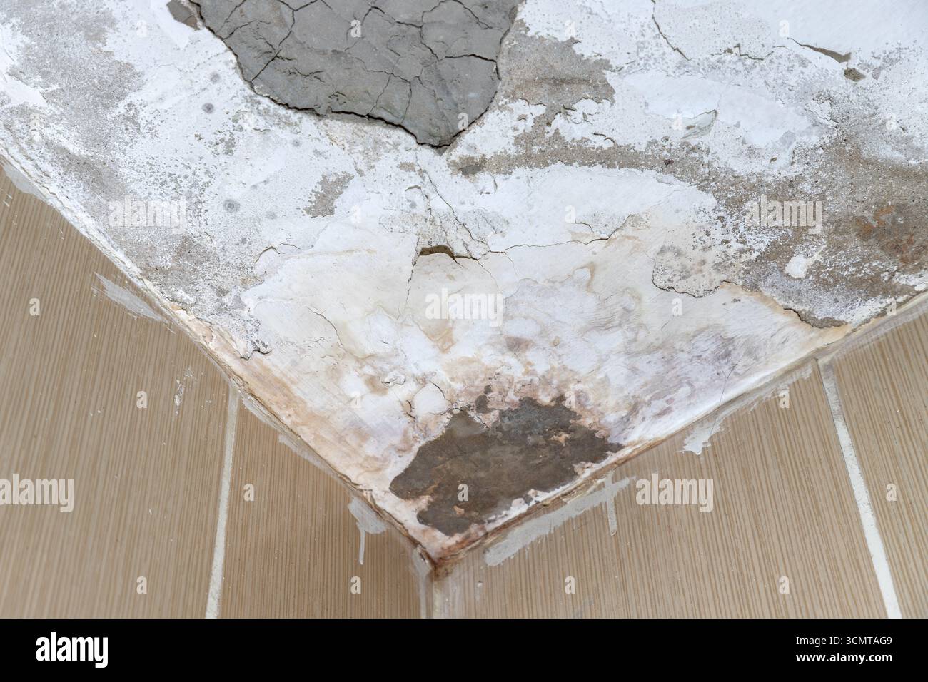Feuchte Deckenecke mit Wasserflecken, Schimmel- und Putzschäden. Stockfoto