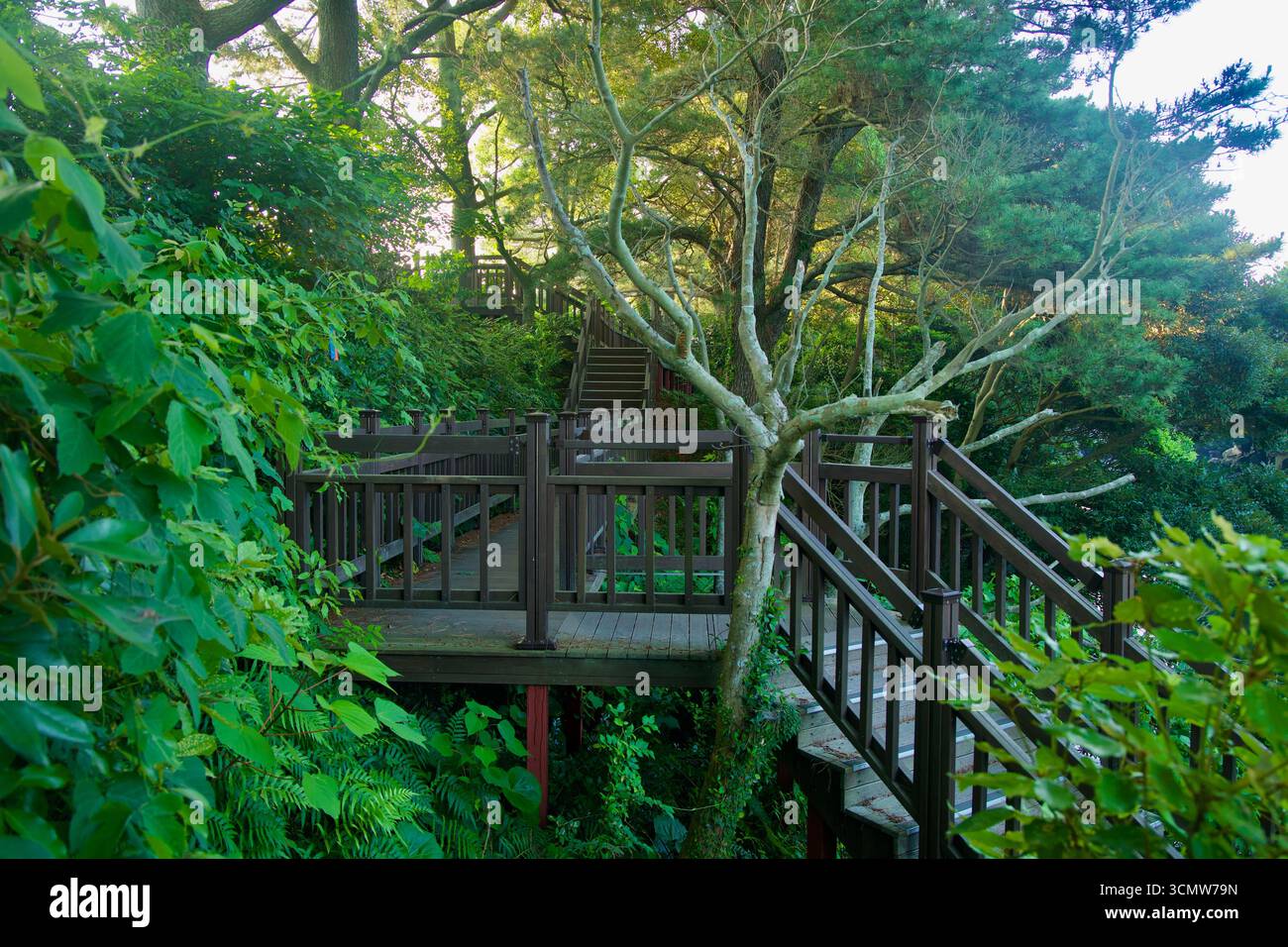 Ein gerader, von Bäumen gesäumter Bürgersteig mit einem Kieselweg verläuft neben der Straße bei Hahyo bei Soesokkak, mit Morgenschatten, die sich entlang des Zauns erstrecken. Stockfoto