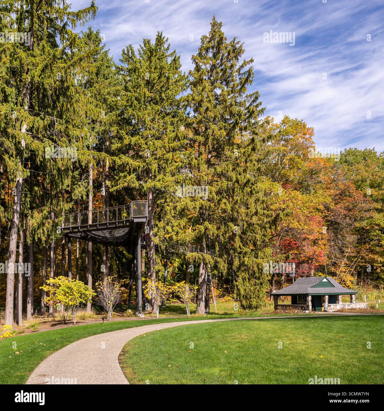 Canopy Walk, Whiting Forest, Dow Gardens, Midland, Michigan. Stockfoto