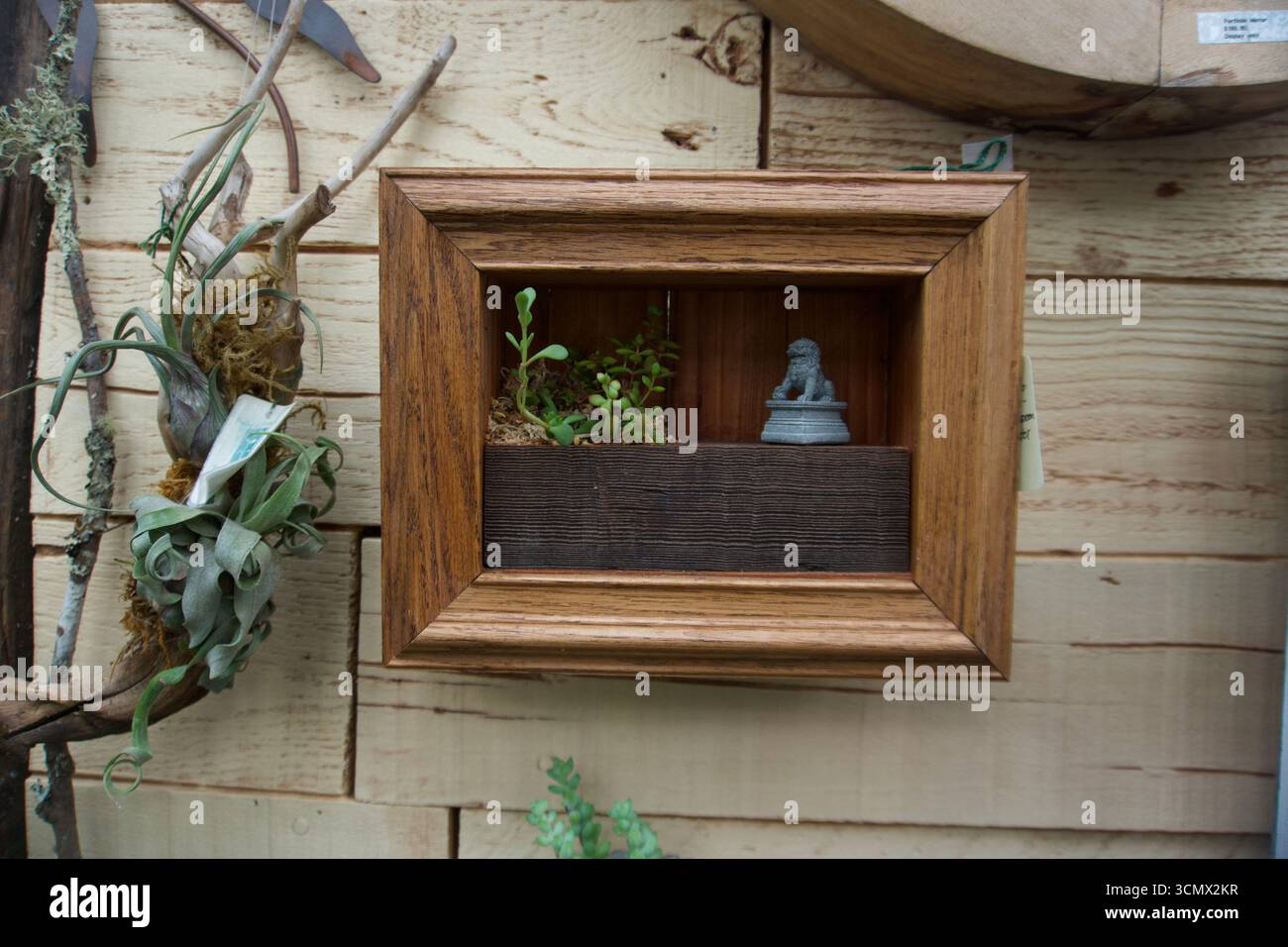 Rustikale Schattenkiste aus Holz mit Miniatur-Pflanze und Figur an der Wand Stockfoto