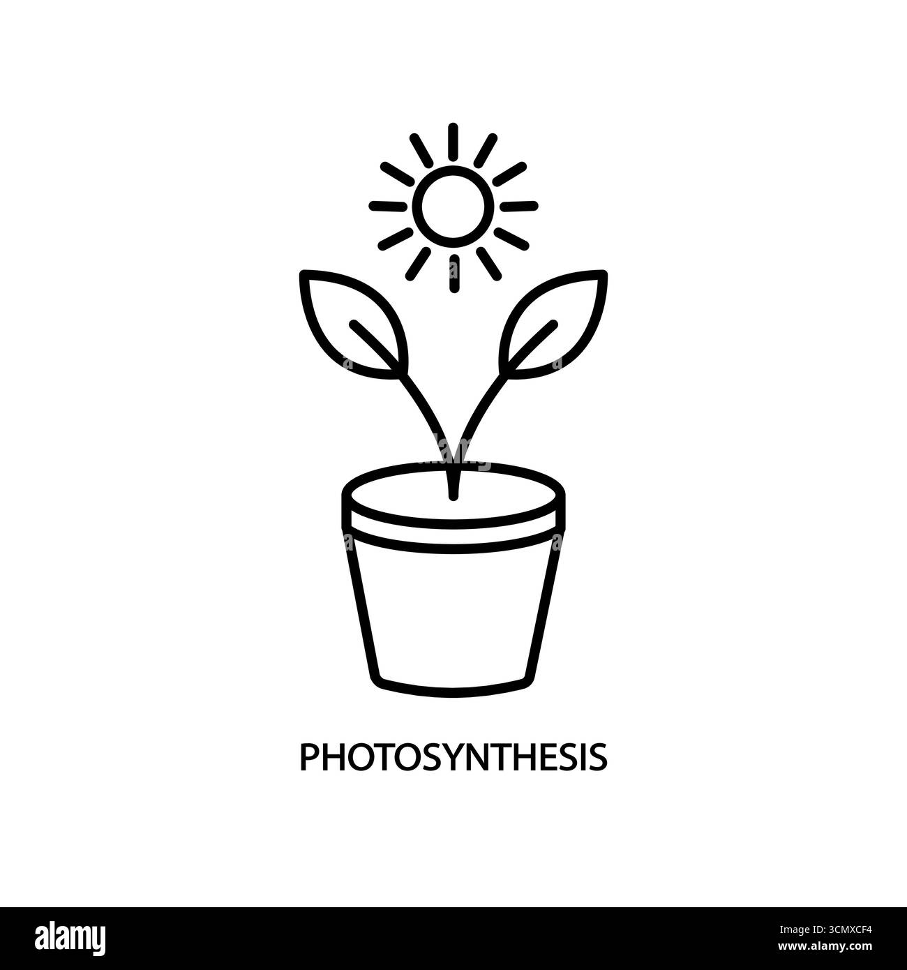 Umrisszeichen des Photosynthese-Symbols. Editierbarer Vektor isoliert auf weißem Hintergrund Stock Vektor