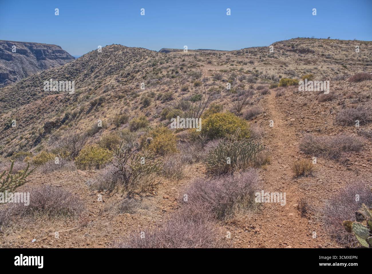 Der Weg führt zu einem malerischen Aussichtspunkt im Agua Fria National Monument in der Nähe der verlassenen Richinbar Mine in Arizona, USA Stockfoto