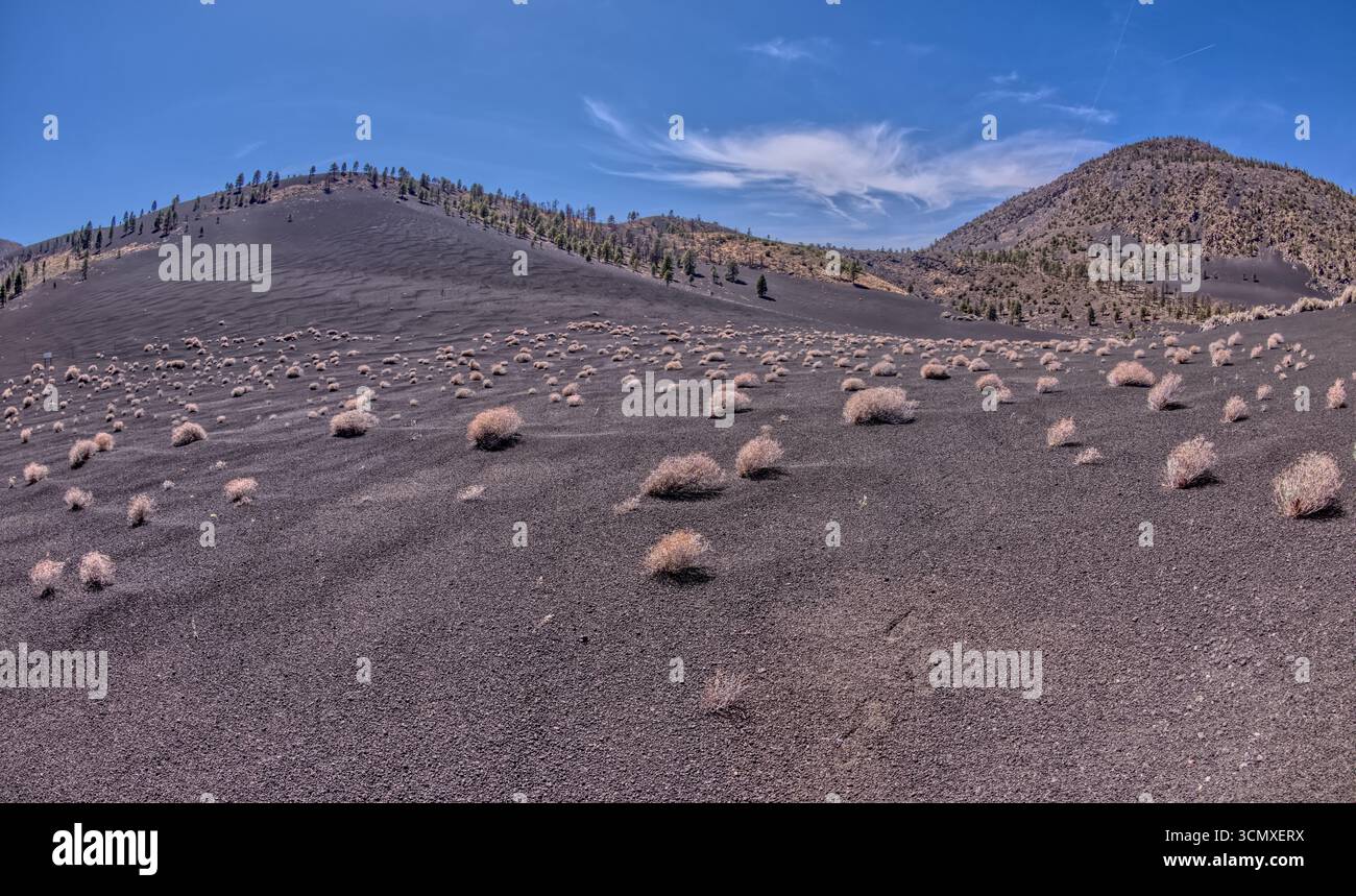 Vulkanische Schlackenhügel im Coconino National Forest, Arizona, USA Stockfoto
