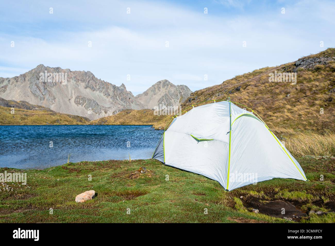 Weißes Zelt an einem Bergsee in grünen Feldern, Travers Range, Nelson Lakes National Park, Neuseeland Stockfoto