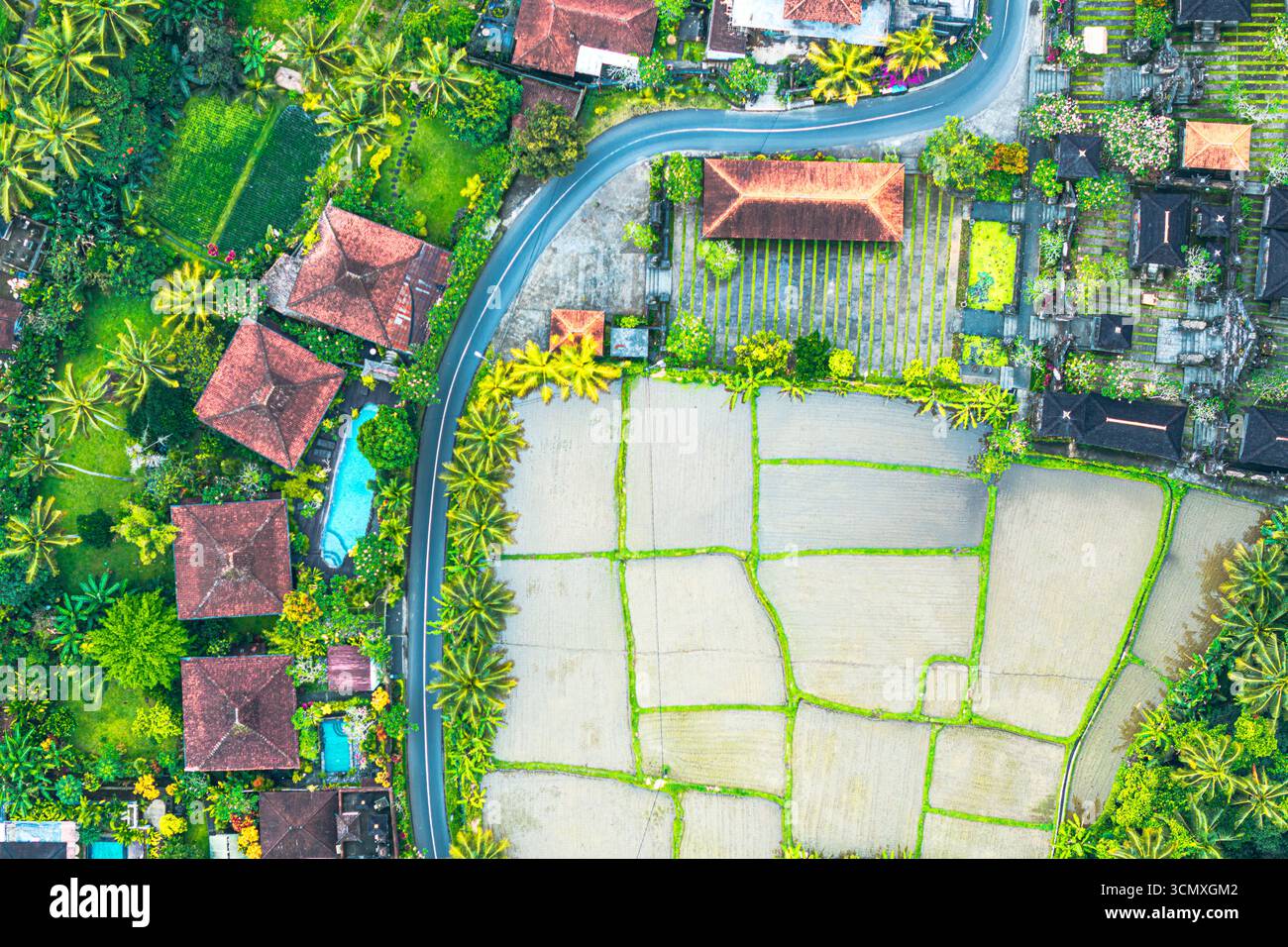 Aus der Vogelperspektive auf eine gewundene Straße durch Reisfelder und traditionelle ländliche Häuser, Ubud, Bali, Indonesien Stockfoto