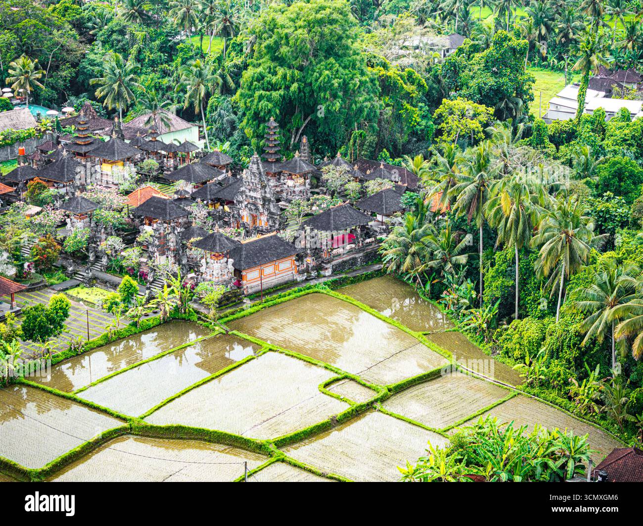 Alte Pagoden eines Tempels umgeben die Reisfelder in einem tropischen Regenwald, aus der Vogelperspektive, Ubud, Bali, Indonesien Stockfoto