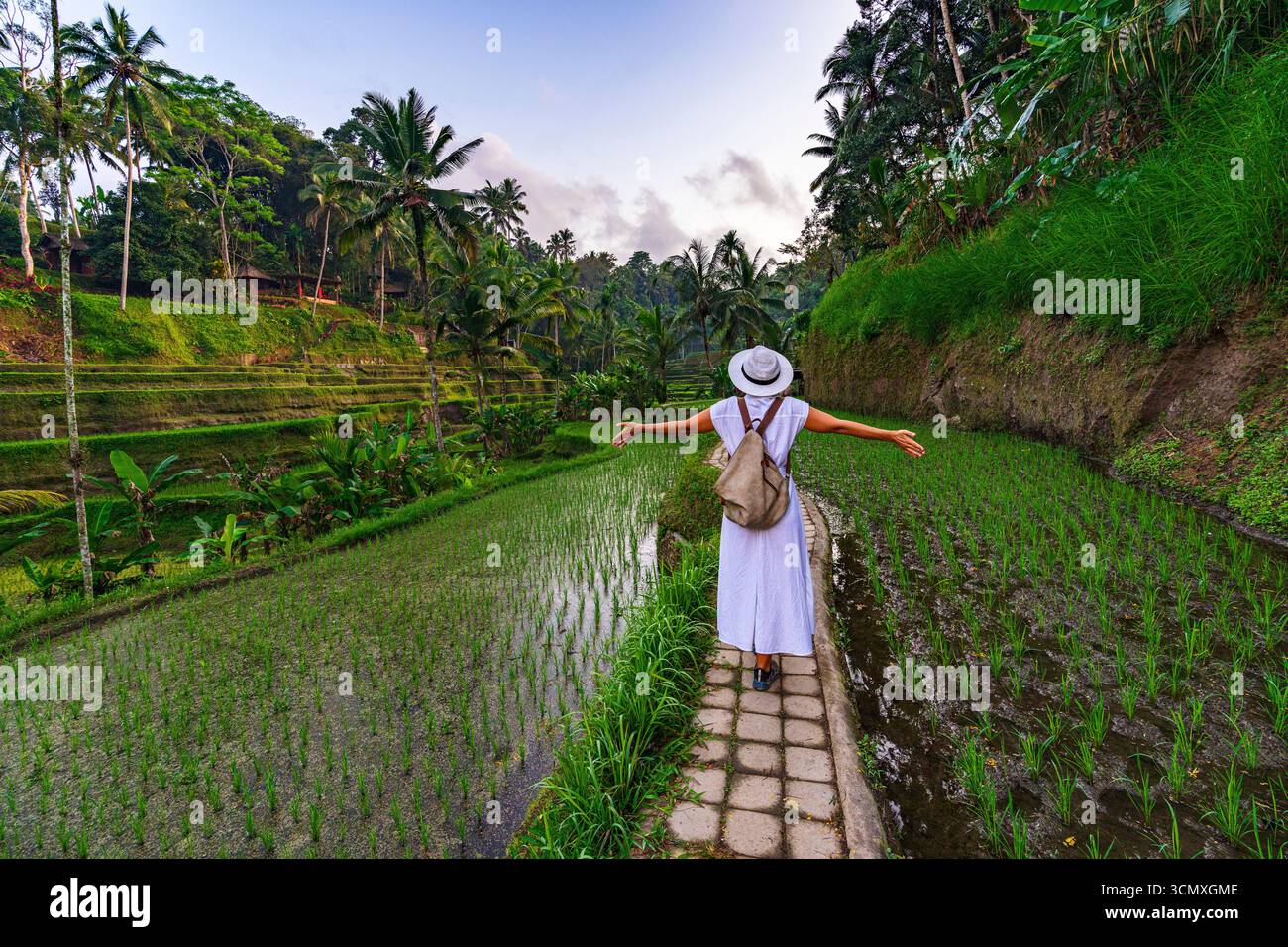 Fröhliche Frau mit ausgestreckten Armen, die auf einem Fußweg inmitten von Reisfeldern steht, Ubud, Bali, Indonesien Stockfoto
