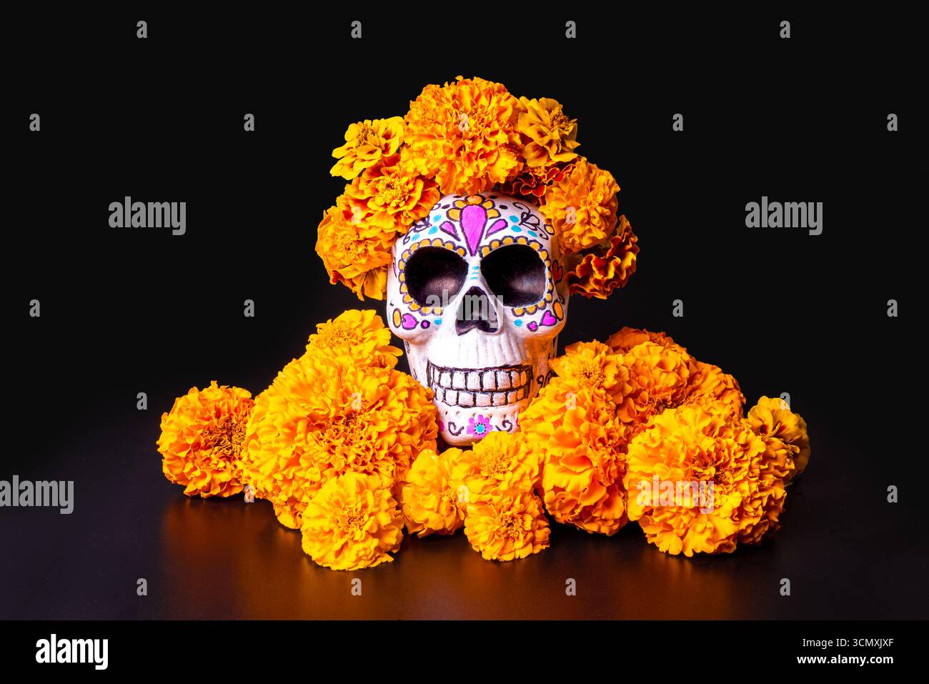 Dekorierter Schädel für die Feierlichkeiten zum Tag der Toten mit Cempasuchil Ringelblumen auf schwarzem Hintergrund. Mexikanisches Designkonzept Dia de Los Muertos. Stockfoto