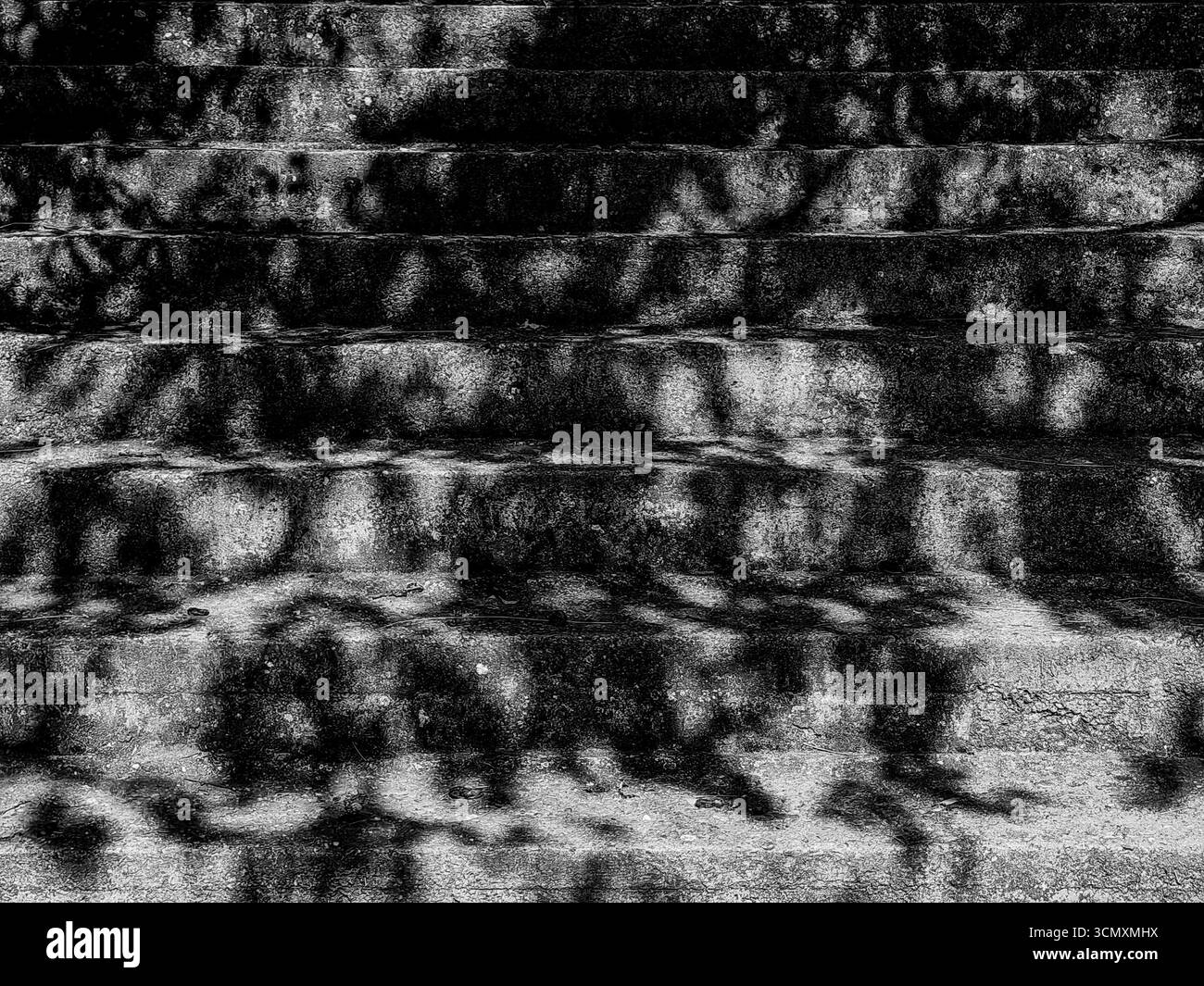 Betontreppen mit Astschatten – Licht- und Schattenspiel. Einfarbige Farbtöne. Stockfoto