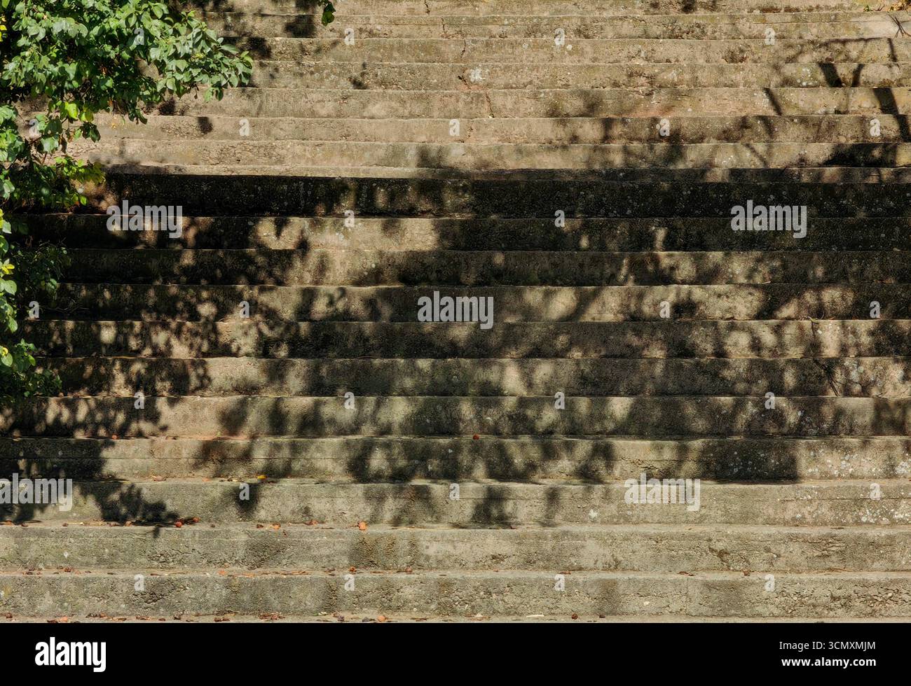Konkrete Schritte mit Schatten von Baumzweigen – Sonnensonnendags-Geometrie. Stockfoto