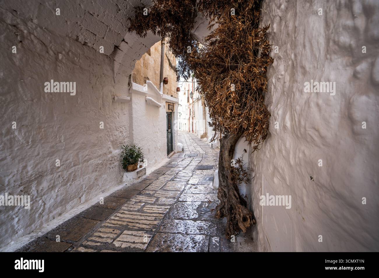 Ostuni in Apulien ist wegen seiner weiß getünchten Häuser als „Weiße Stadt“ bekannt. Es liegt auf einem Hügel und bietet charmante Straßen und lebhafte Plätze. Stockfoto