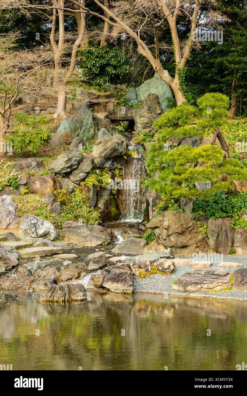 Friedliche Szene eines traditionellen japanischen Gartens im frühen Frühjahr mit einem Wasserfall Stockfoto