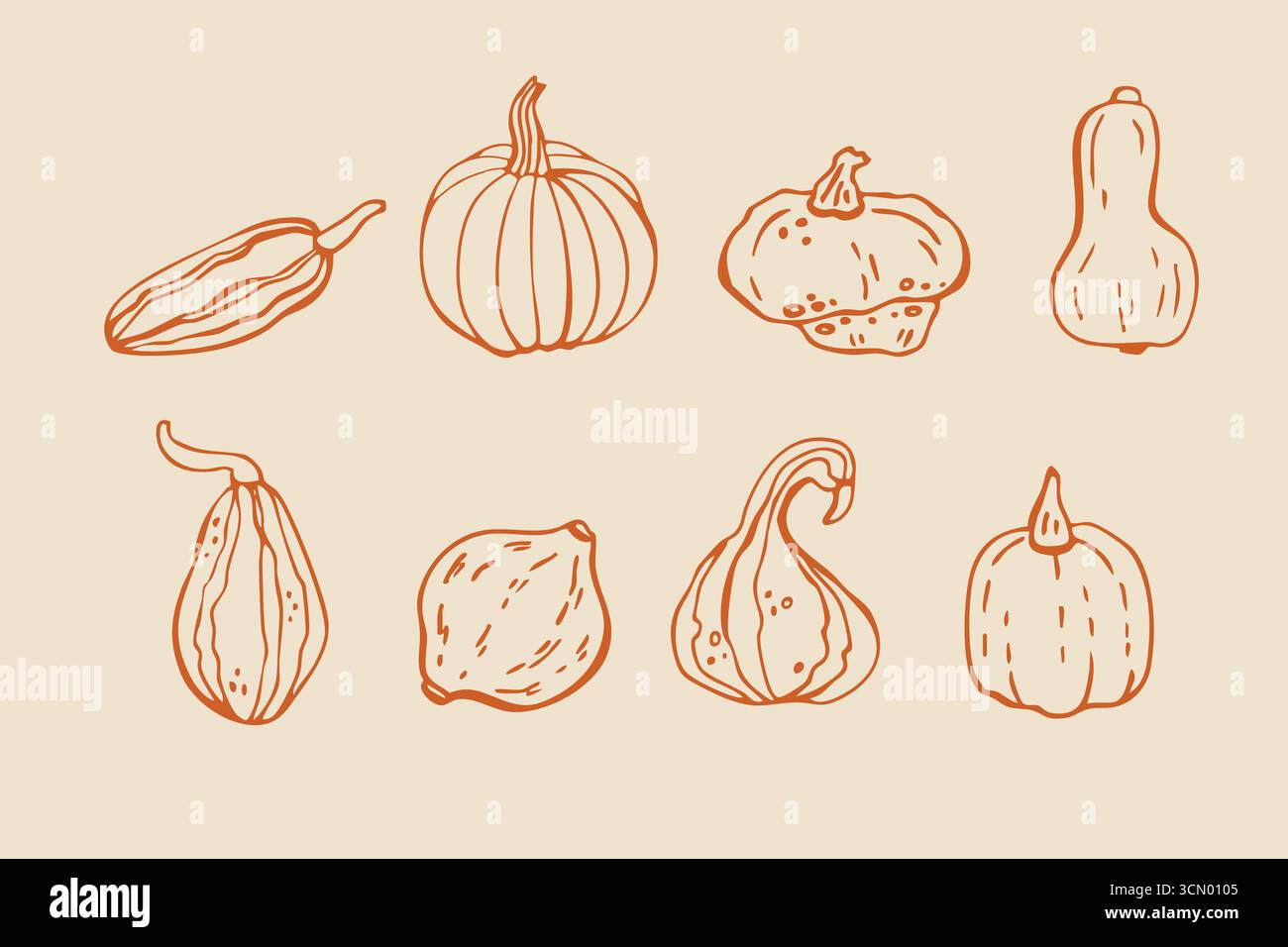 Trendige und frische Kürbis Icon Vektor lineare Illustration Set mit Kürbissen in verschiedenen Formen. Designelemente für Menü, Herbsternte, Halloween Stock Vektor