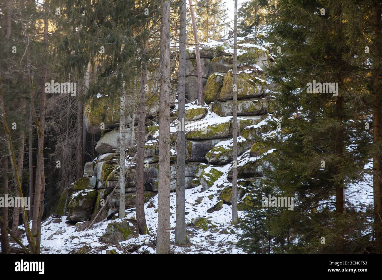 Schneebedeckte Felsen in einem waldreichen Gebiet mit hohen Bäumen, Kamptal Waldviertel Niederösterreich Österreich Stockfoto