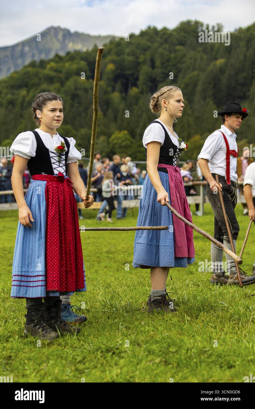 Viehtrieb, Viehtrieb, Hausrinder (Bovidae), Hirtin, Mädchen, dirndl, traditionelle Tracht, Oberstdorf, Oberallgaeu, Allgaeu Al Stockfoto