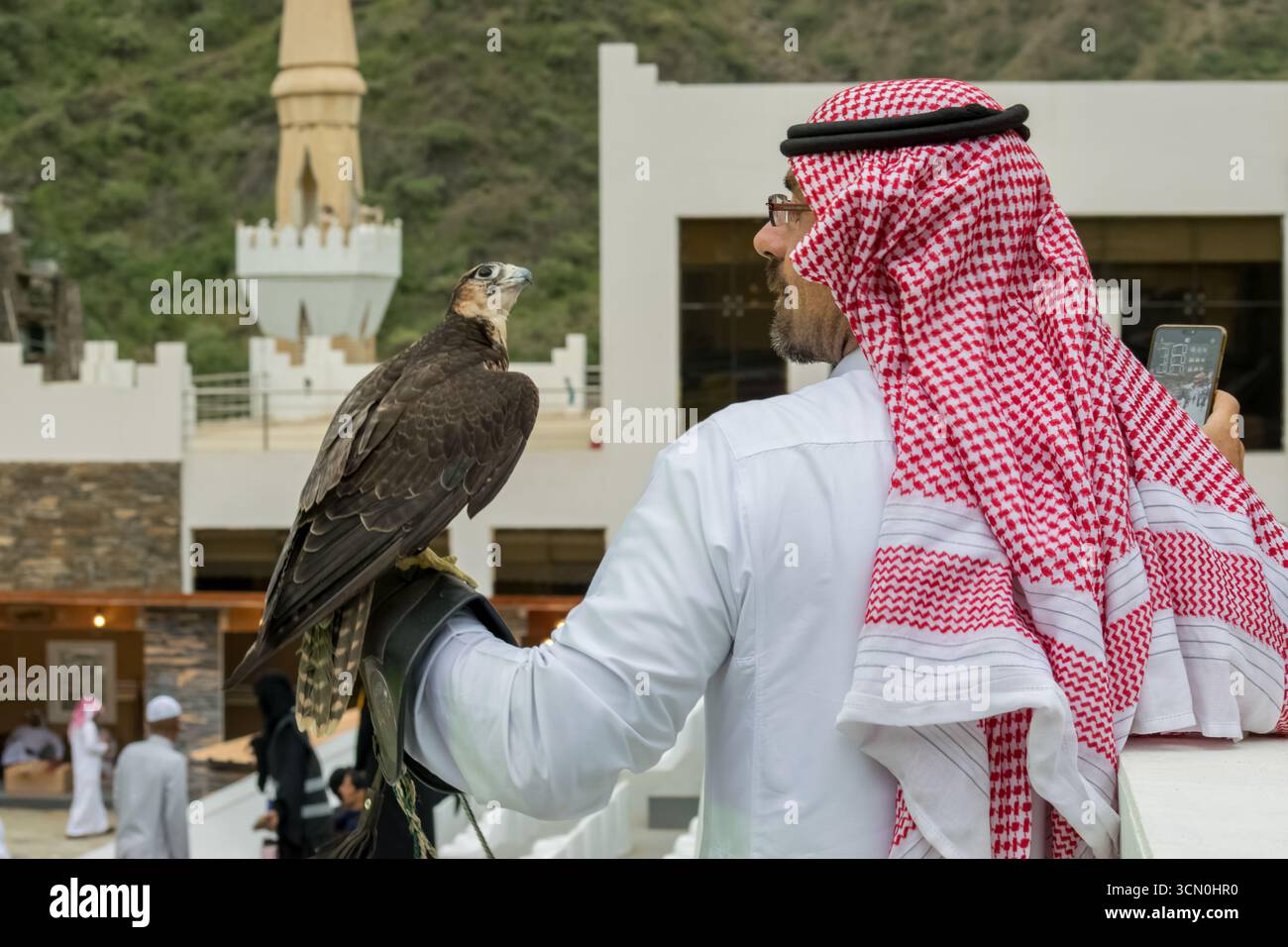 Ein wunderbares Bild eines Wanderfalken mit seinem Trainer und Besitzer, das eine enge Freundschaft zwischen ihnen zeigt. Stockfoto
