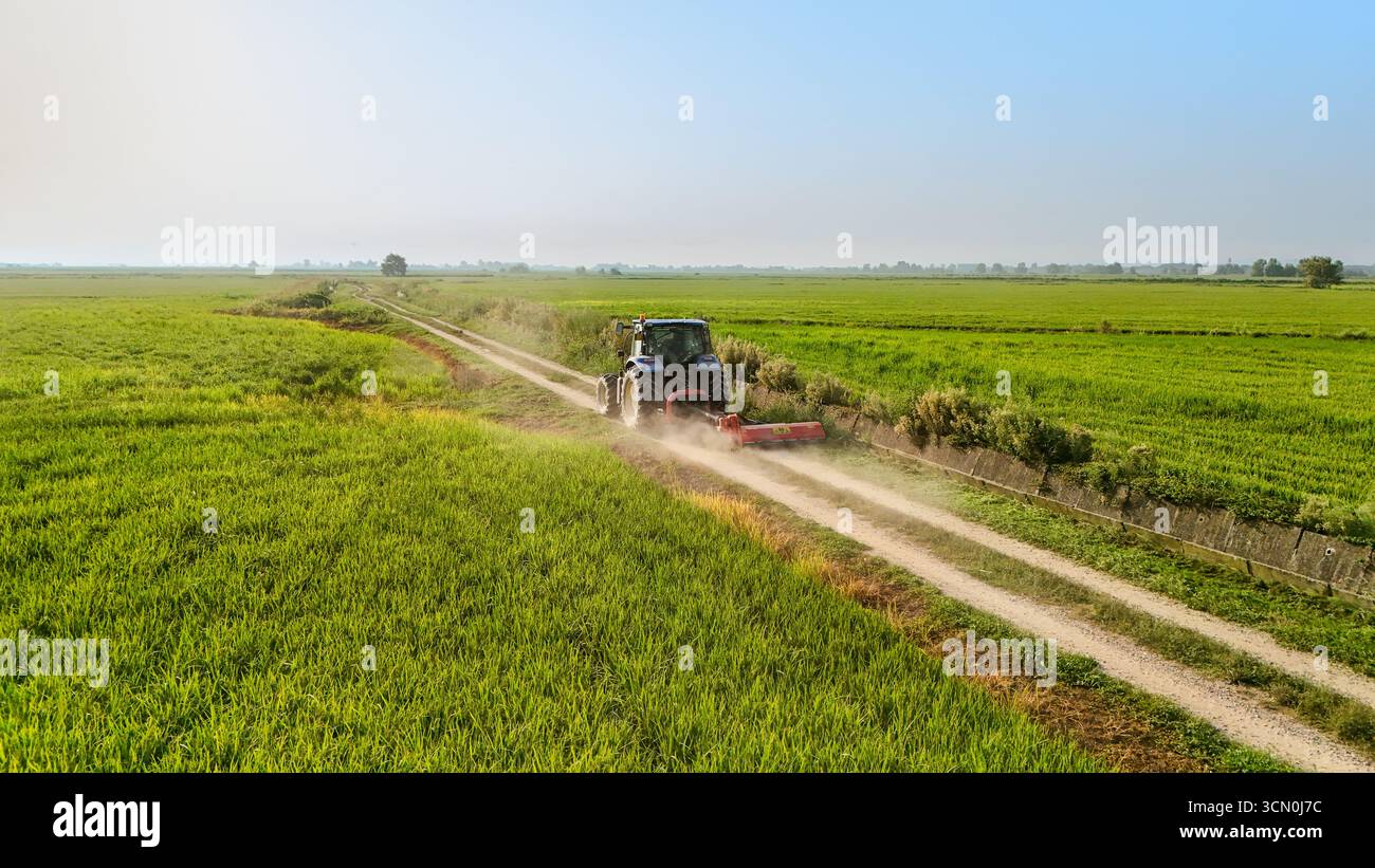 Dynamische Luftaufnahme eines Traktors, der Staub auf einer Feldstraße in Reisfeldern im ländlichen Norditalien sammelt. Konzept der Landwirtschaft, Ernte und landwirtschaftlichen Arbeit. Stockfoto