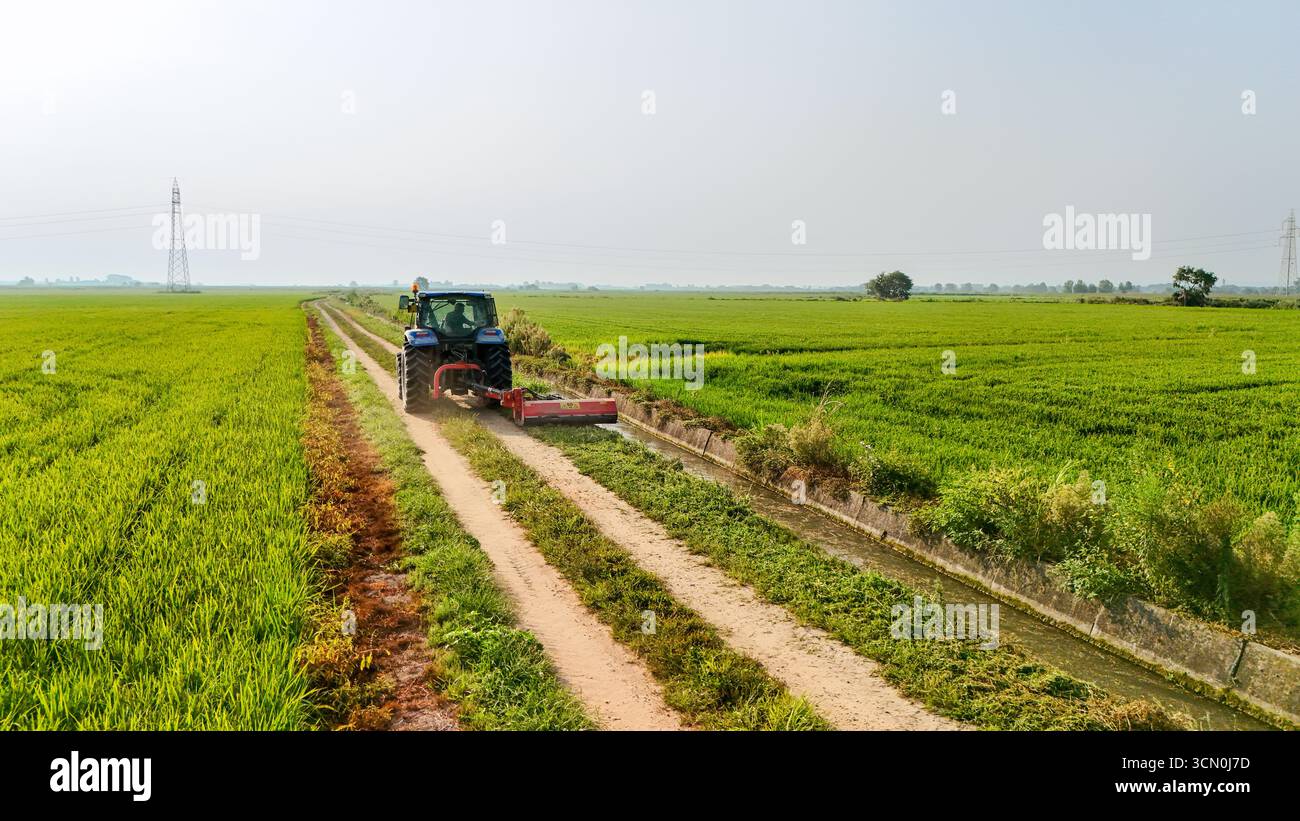 Luftaufnahme eines Traktors, der auf einer Feldstraße zwischen Reisfeldern im ländlichen Italien vorrückt. Symbol der modernen Landwirtschaft und Nahrungsmittelproduktion. Stockfoto