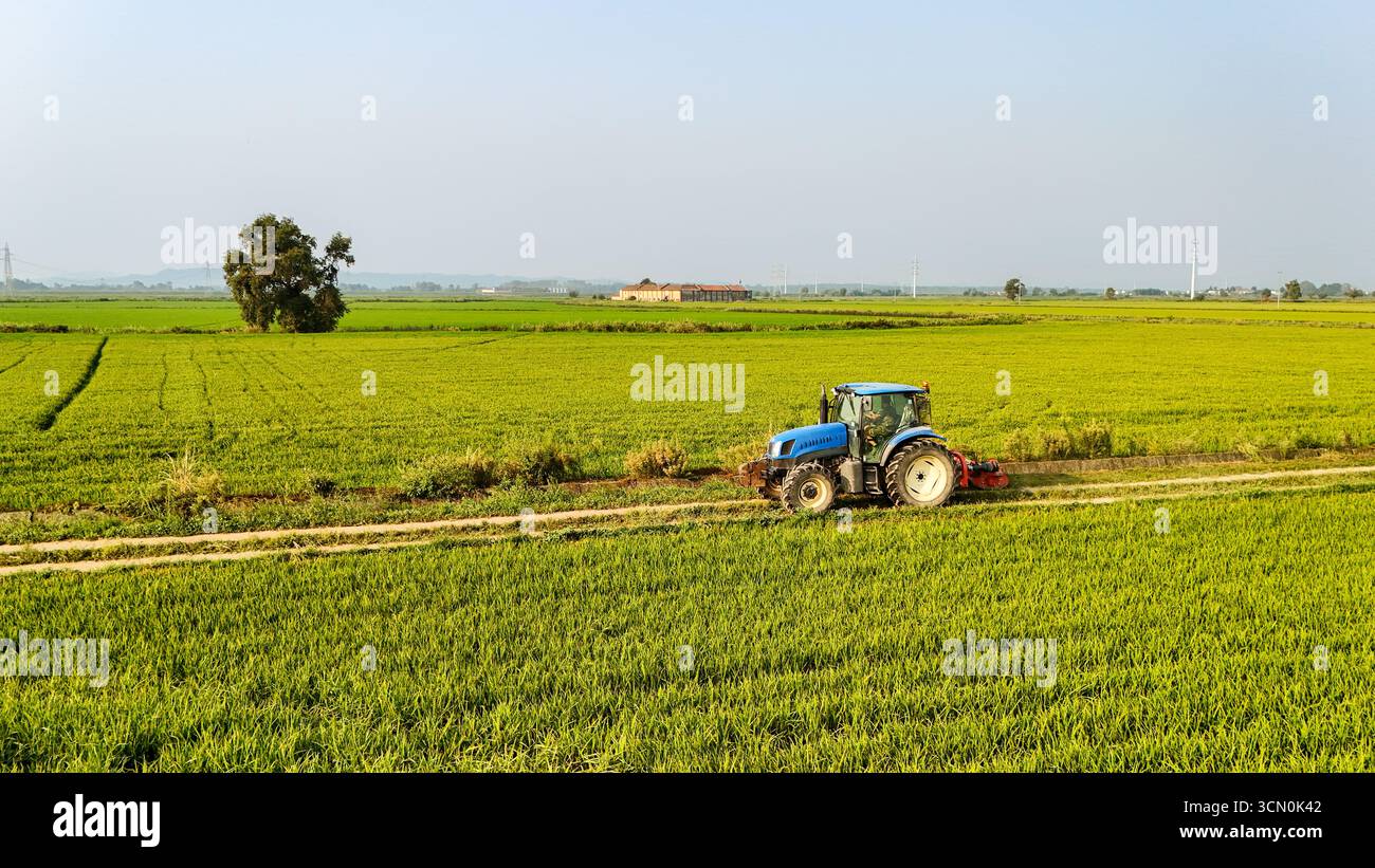 Luftaufnahme eines Traktors, der auf einem grünen Reisfeld im ländlichen Italien arbeitet. Das Konzept der Landwirtschaft, des Pflanzenbaus und der maschinellen Landwirtschaft. Stockfoto