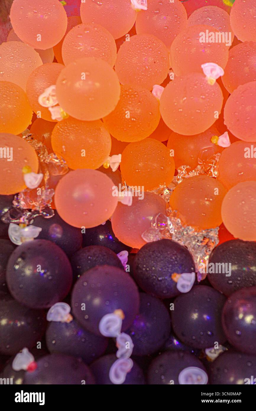 Thailändisches Eis-Fruchtgetränk in orange und violetten Traubenbeuteln mit Kondensation, gekühlt und lebendig, fängt die Frische der Street Food-Kultur ein. Stockfoto