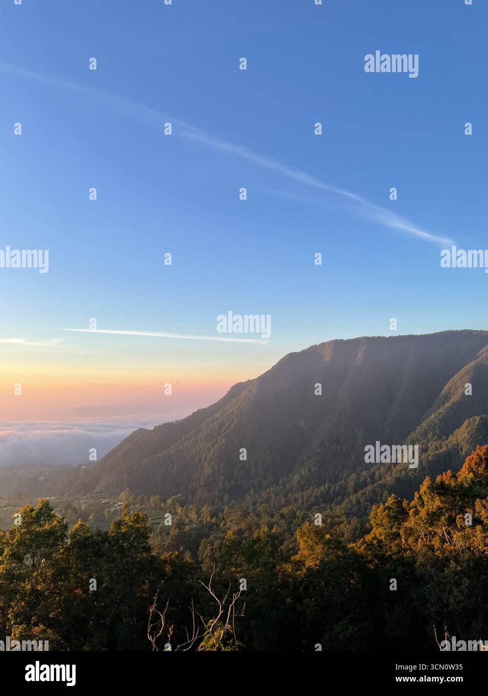 Details von zufällig geschnittenen und angeordneten Protokollen erzeugen abstrakte Muster und Texturen - Smartphone-aufgenommenes Stockfoto