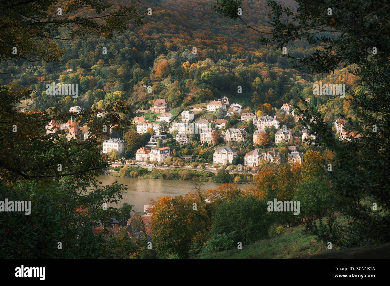 Schöne Nachbarschaft auf einem malerischen Hügel in Heidelberg, Deutschland, mit dem Neckar, eingerahmt von grüner Vegetation und Wald Stockfoto