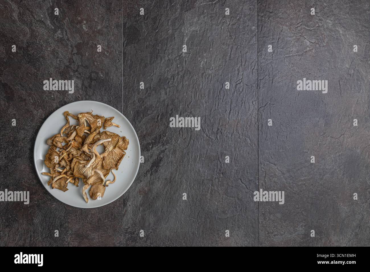 Getrocknete Austernpilze auf weißer Porzellanplatte unten links auf dunklem Schiefer, Studiofoto. Der Rest des Rahmens lässt freien Platz für Design und Text. Stockfoto