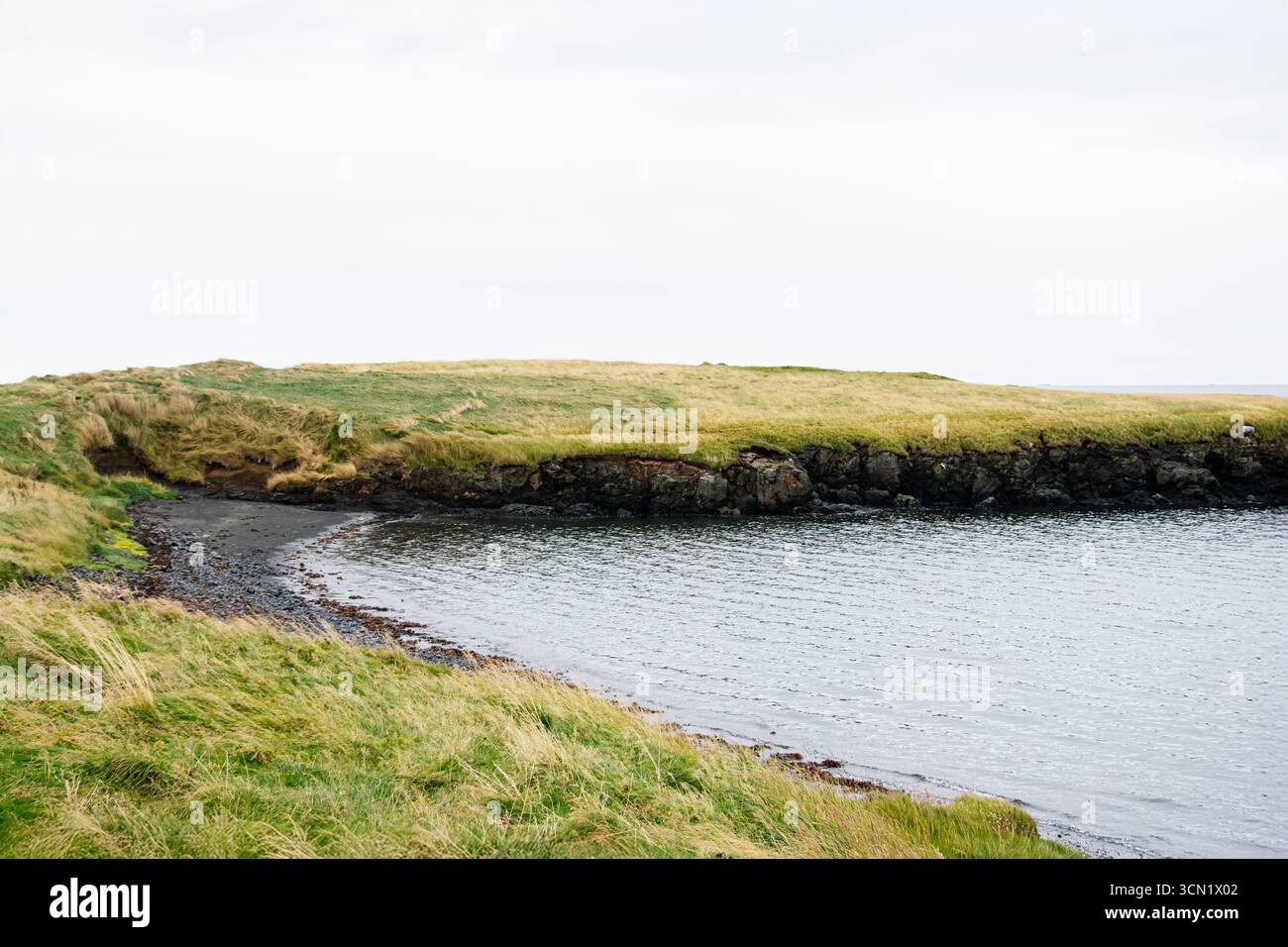 Von Klippen gesäumte Küste in Island mit ruhigem Wasser und lebhaften grasfeldern Stockfoto