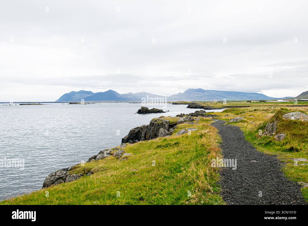 Eine ruhige Küste in Island mit einem Pfad, üppigem Grün und fernen Bergen. Stockfoto