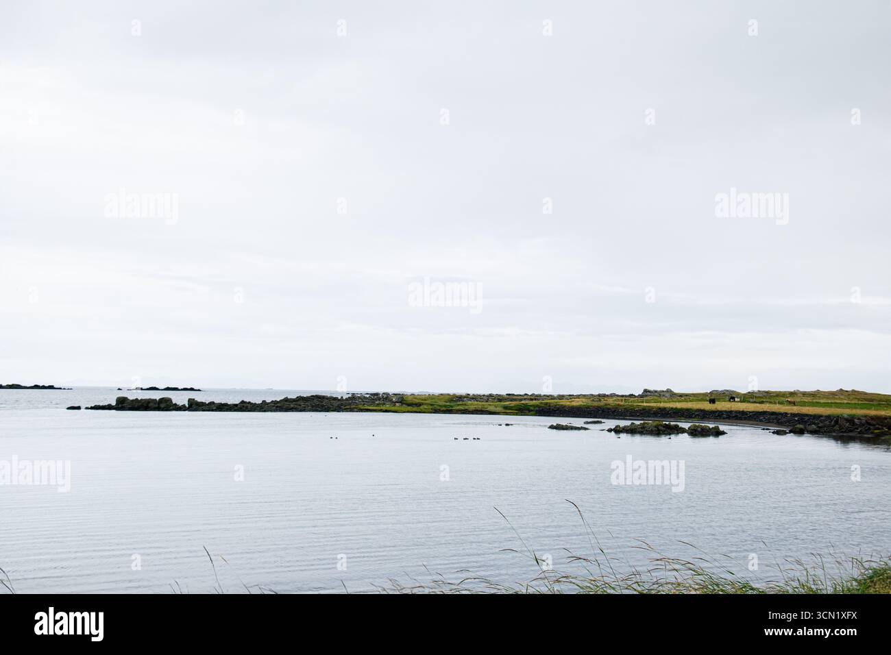 Wunderschöne natürliche Landschaft Islands mit ruhigem Wasser unter bewölktem Himmel. Stockfoto