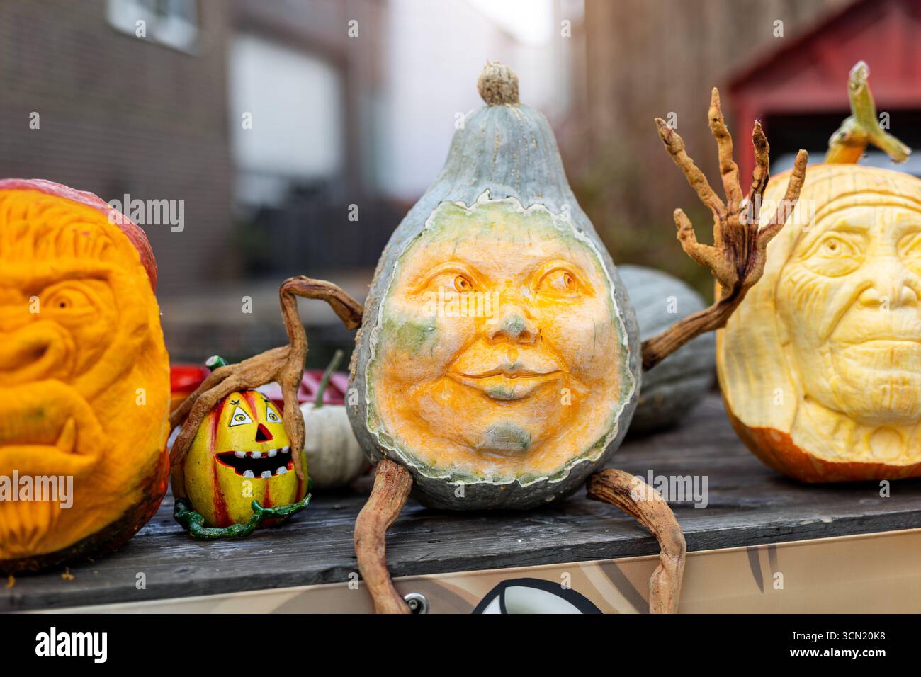 Geschnitzte Kürbisse mit ausdrucksstarken Gesichtern sorgen für fantasievolle Halloween-Dekorationen. Die künstlerischen Designs reichen von gespenstisch bis humorvoll und werden saisonabhängig Stockfoto