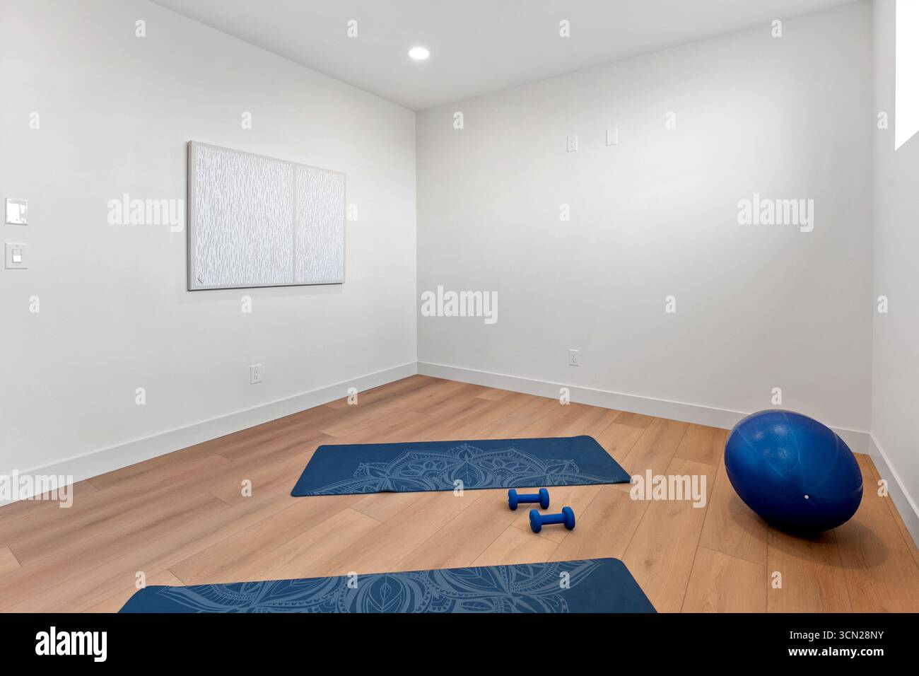 Yoga-Raum mit blauem Ball und zwei Matten. Der Raum ist leer und der blaue Ball liegt auf dem Boden Stockfoto