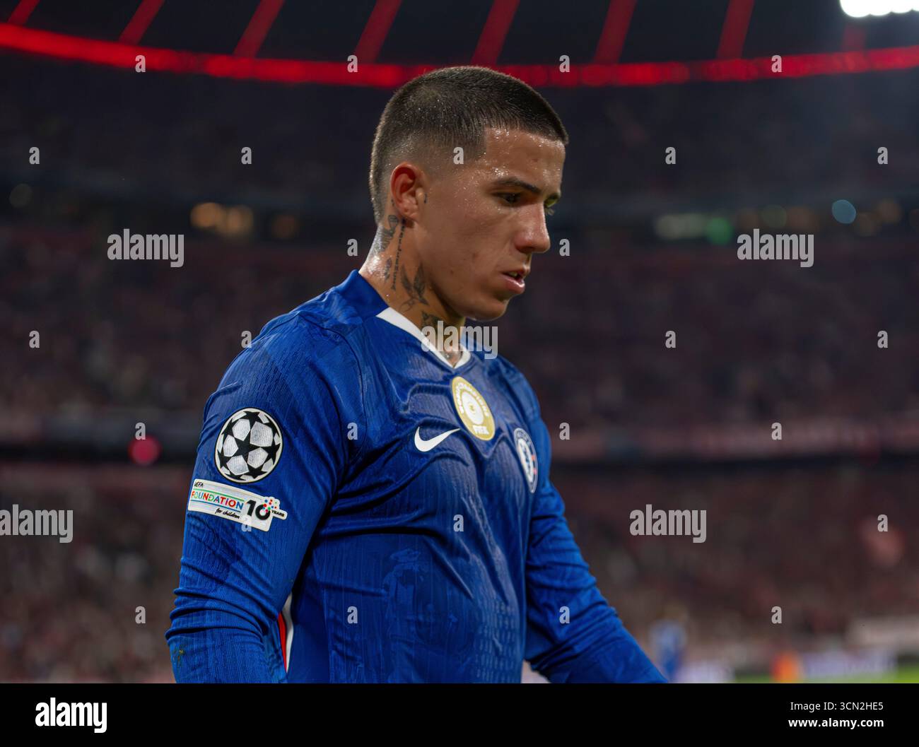 Enzo Fernandez wurde in der zweiten Halbzeit von Bayern gegen Chelsea FC abgesetzt Stockfoto