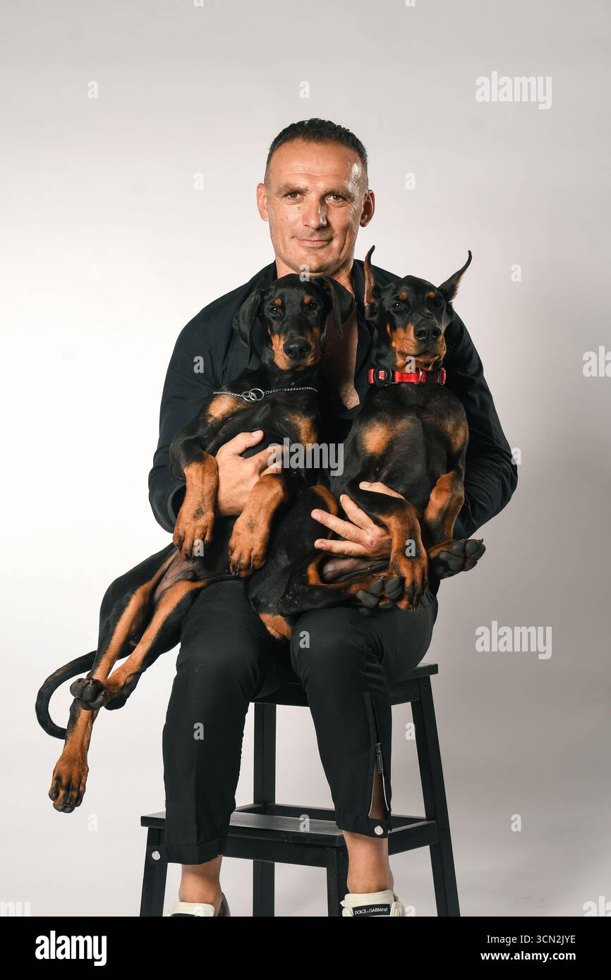 Mann sitzt mit zwei Doberman-Welpen auf seinem Schoß im Studio-Porträt Stockfoto