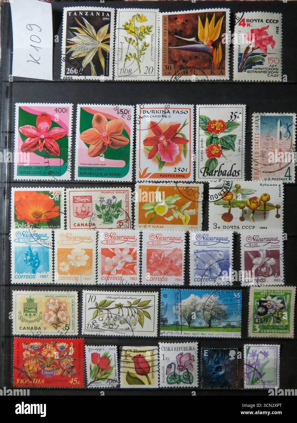 Lemberg, Ukraine, 6. Februar 2015 Eine lebendige Ausstellung gebrauchter Gedenkbriefmarken zeigt atemberaubende Blumenmotive aus verschiedenen Ländern. Stockfoto