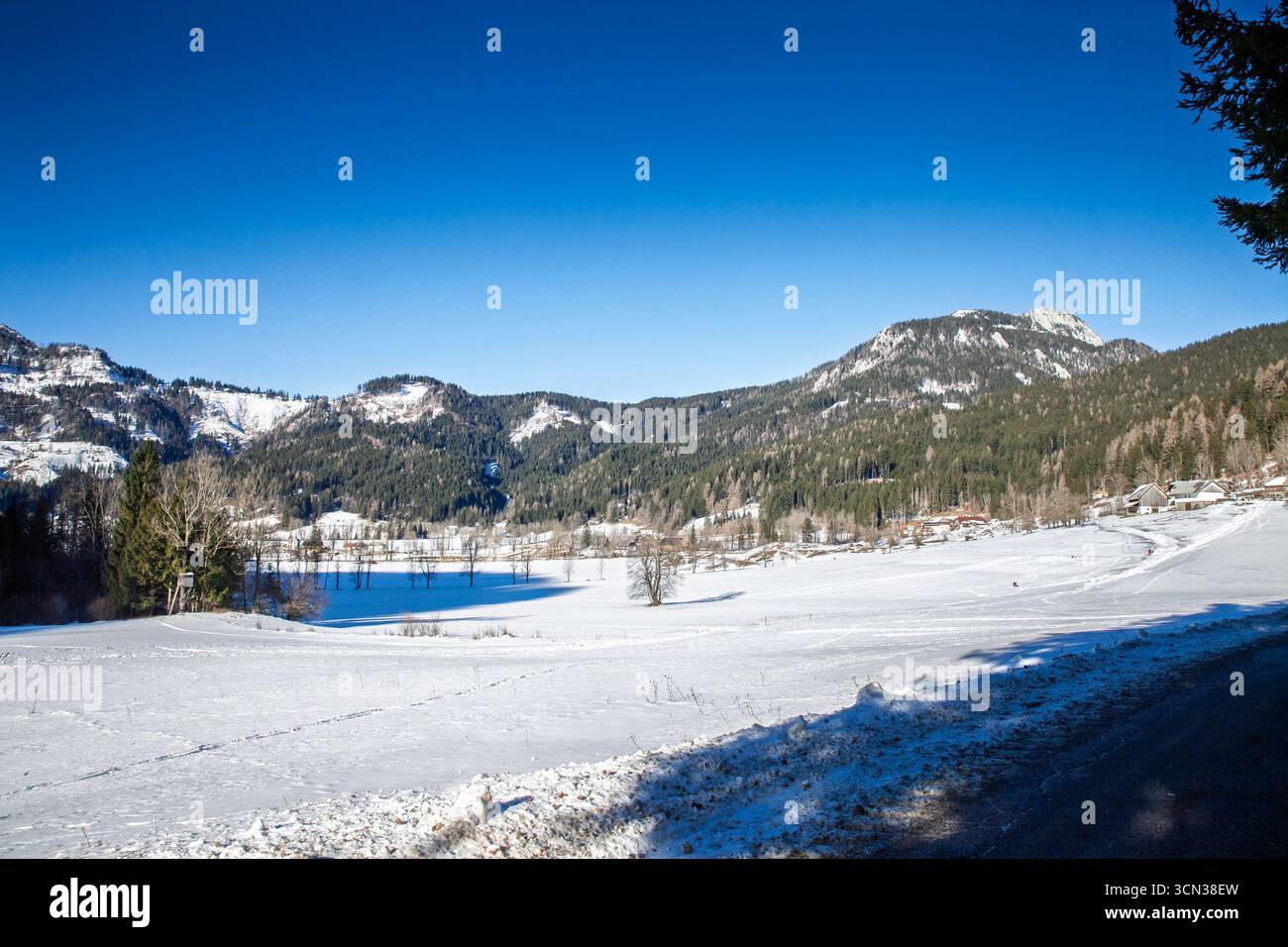 Panorama von Zgornje Jezersko Slowenien im Winter, mit einer breiten schneebedeckten Ebene, die von bewaldeten Bergen und einem hellen Himmel umgeben ist und die Ruhe vermittelt Stockfoto