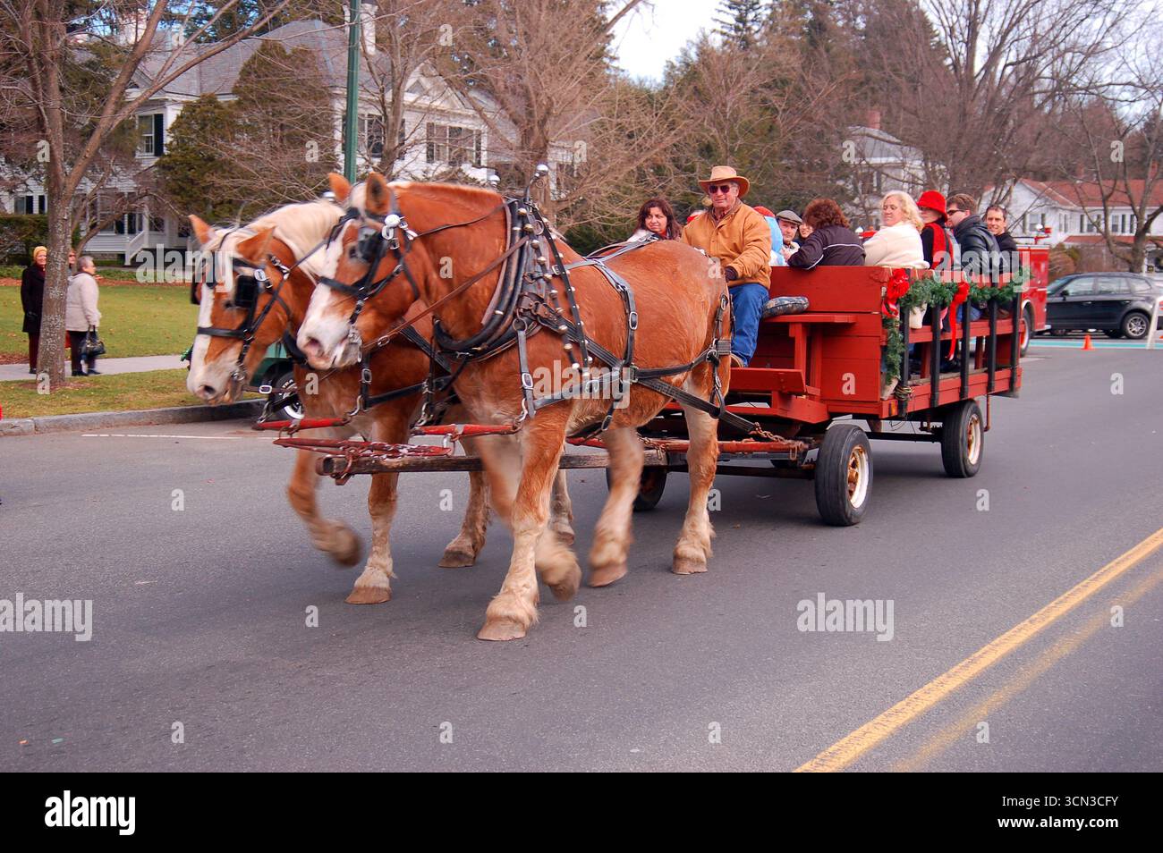 Ein Team aus zwei Pferden zieht eine Tourgruppe bei der Besichtigung durch Stockbridge, Massachusetts Stockfoto